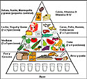 la piramide de alimentos