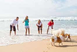 familia-disfrutando-con-sus-mascotas