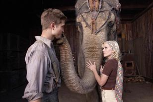 Pattinson y Witherspoon, amor entre elefantes