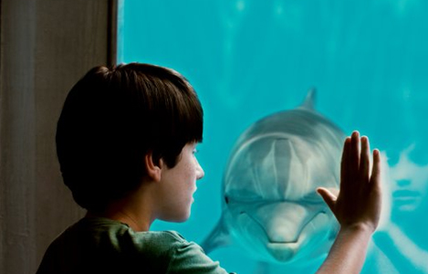 escena de dolphin tale