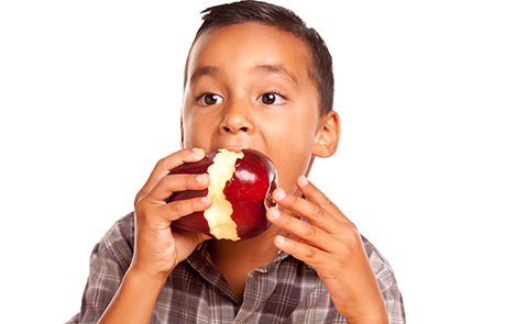 Adorable Hispanic Boy Eating a Large Red Apple Isolated on a White Background.