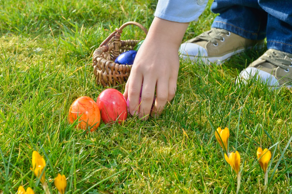 Easter egg hunt on a sunny Easter morning