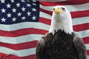 4691001_eagle american flag