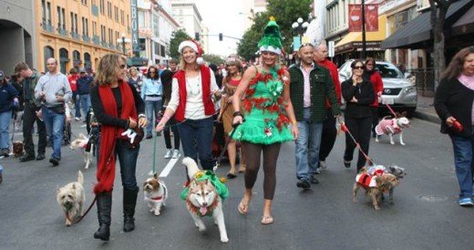 desfile de perros de navidad