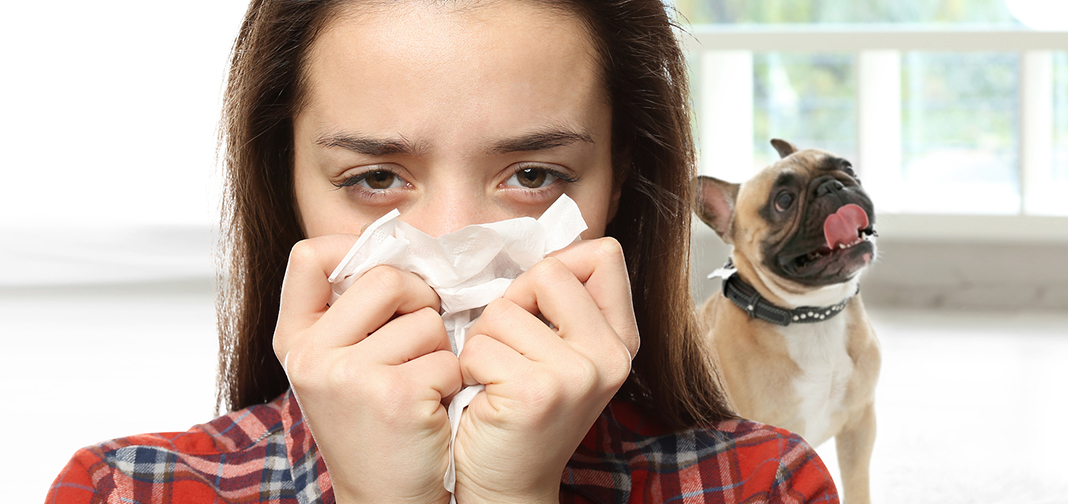 7 formas de prevenir alergias causadas por mascotas