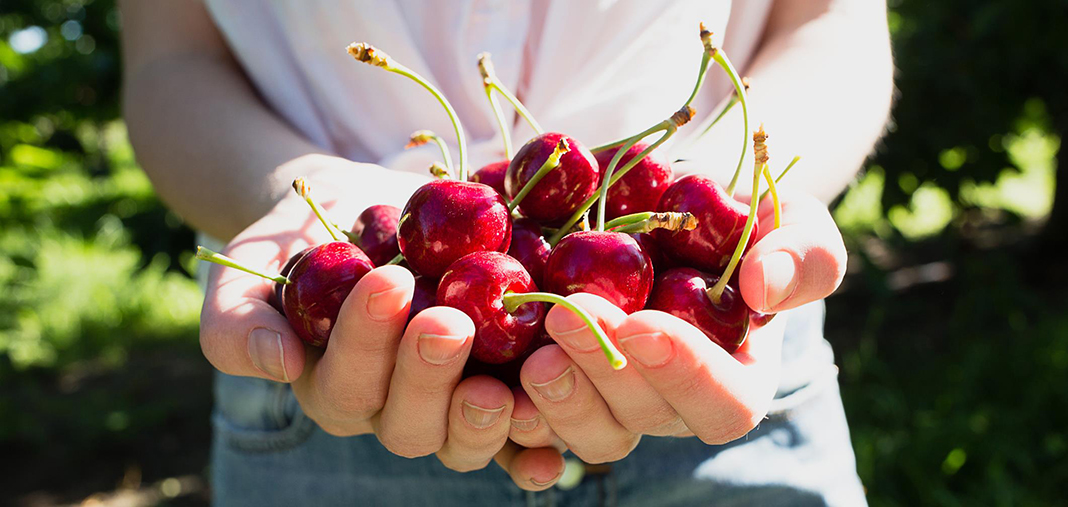 4 beneficios de las cerezas para su salud