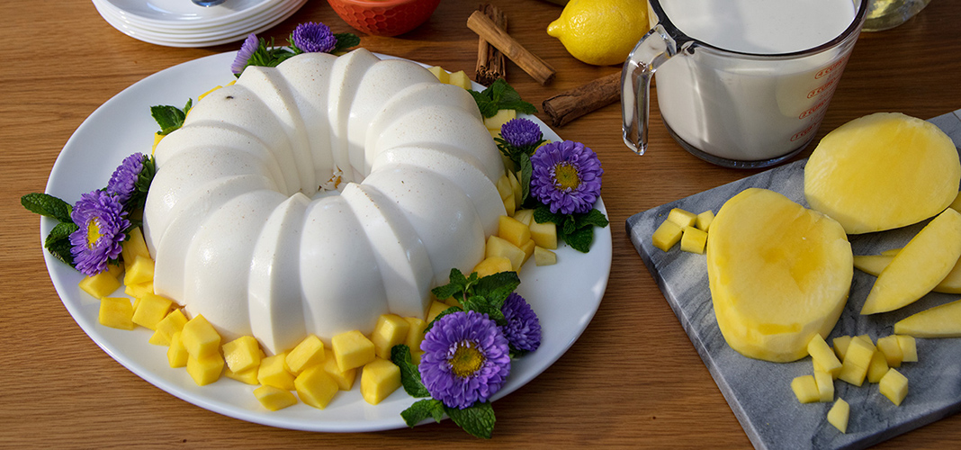 Gelatina de leche y mango Artículos