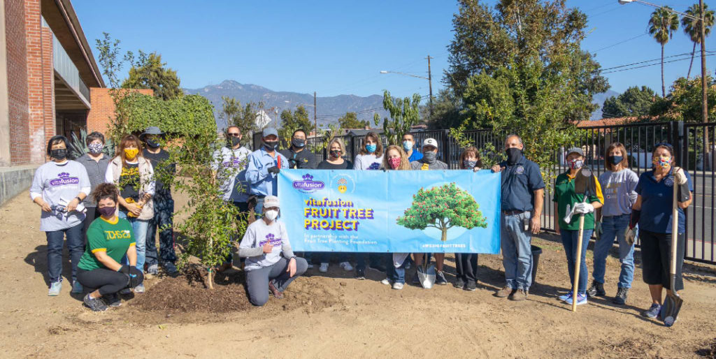 El equipo encargado de plantar el árbol 200,000.