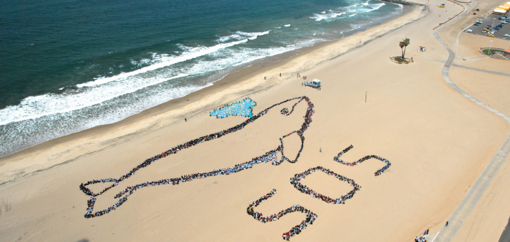 Miles de niños formaron la imagen de una ballena en la playa