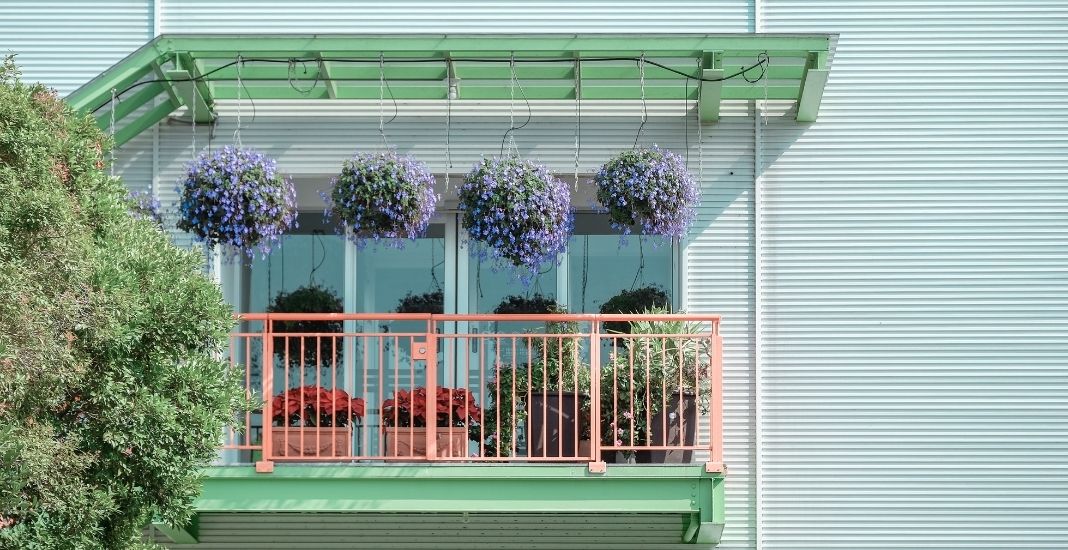 Dale un toque verde con flores, frutos o vegetales en tu balcón