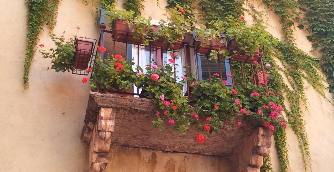 Un balcón o terraza puede verse increíble con frutos, vegetales o flores
