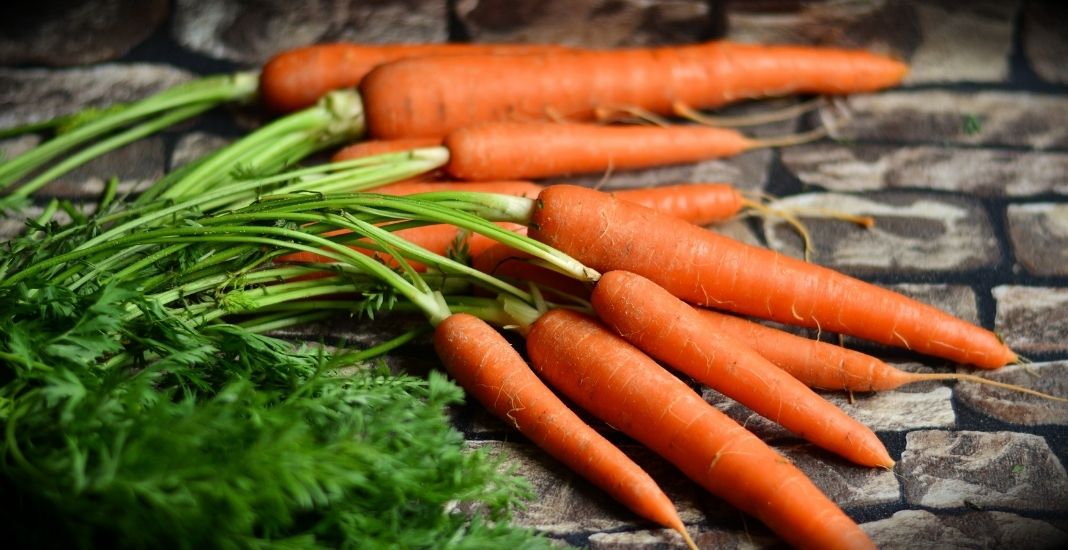 zanahoria, frutas y vegetales para sembrar en casa