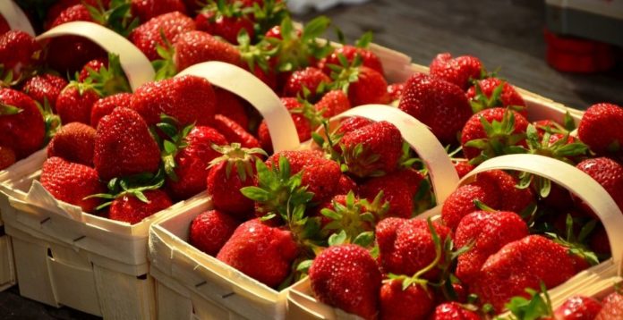 FDA investiga brote de hepatitis A ligado a las fresas frescas