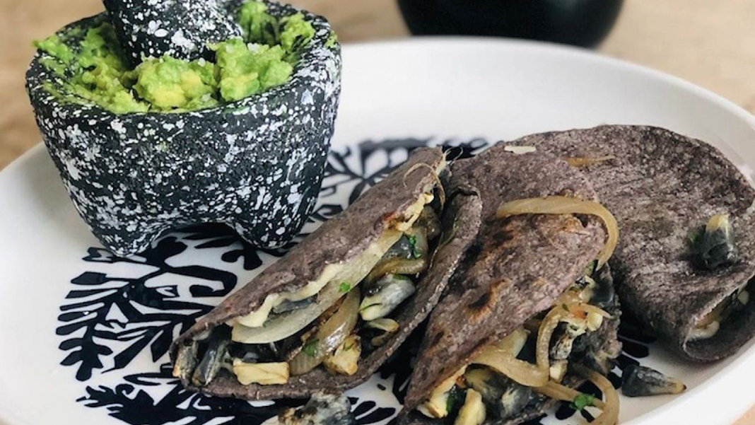 Quesadillas de huitlacoche con tortillas de maíz azul