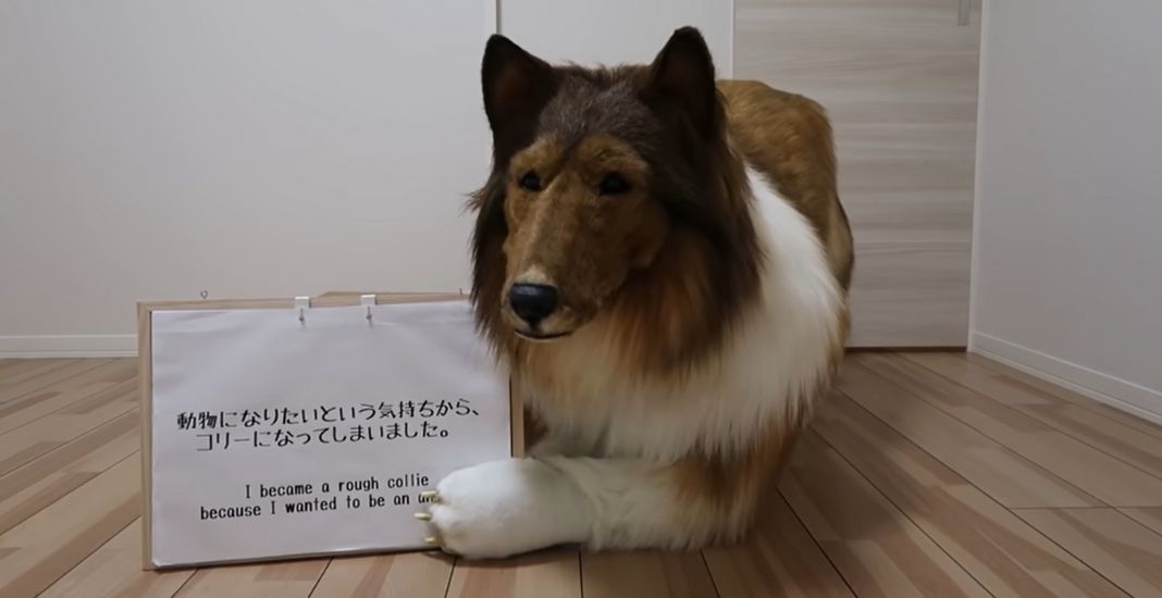 Toko se presentó como un perro en YouTube