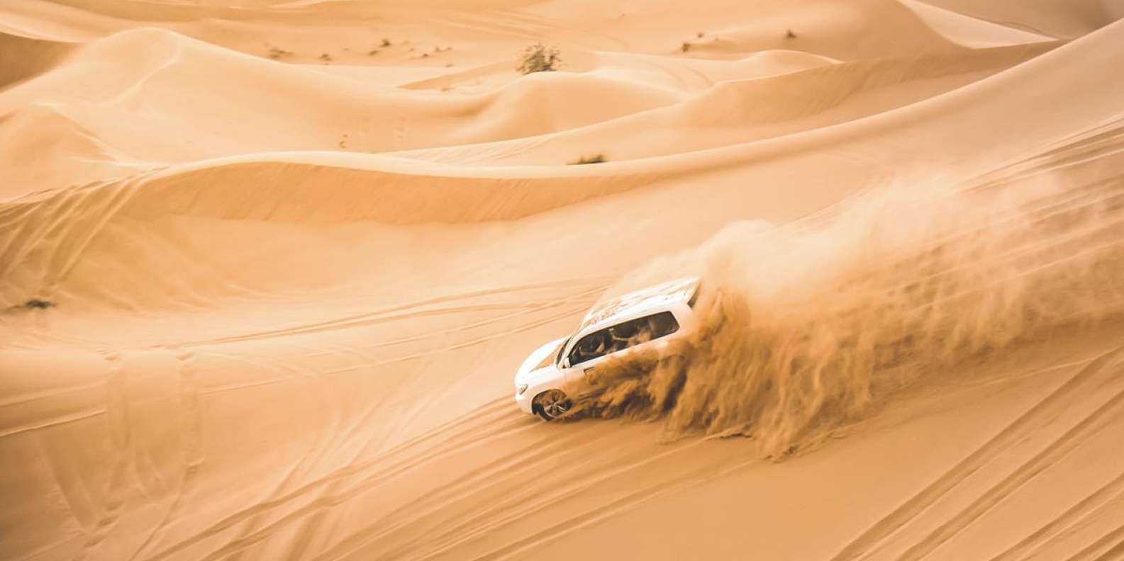 Dune Bashing en Qatar