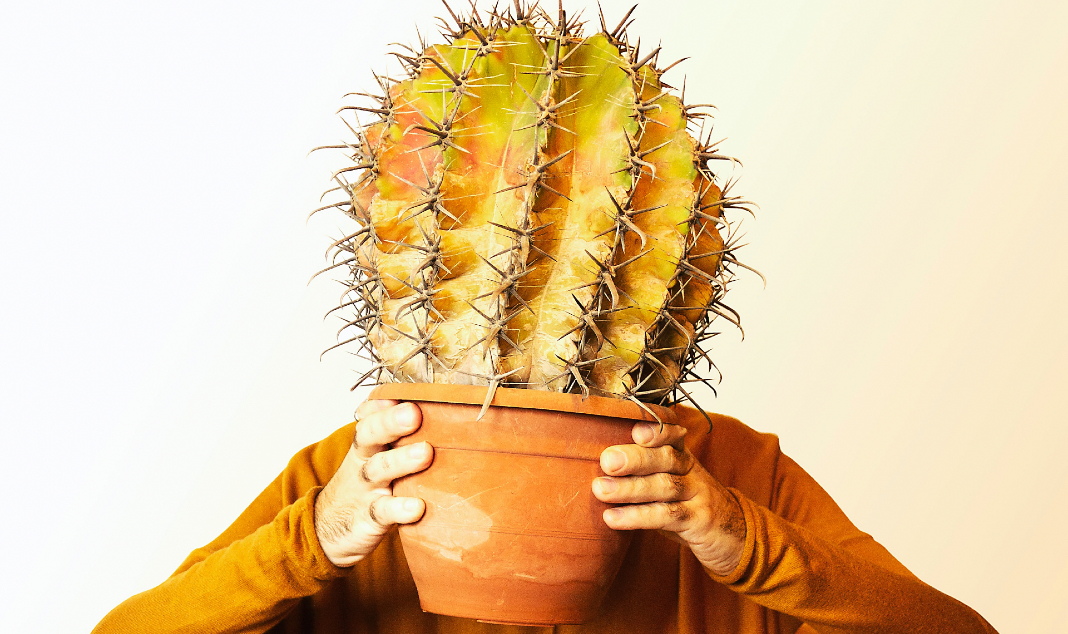 Persona con una planta espinosa en la cabeza