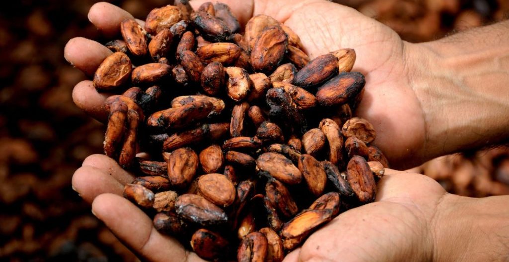 Se cree que el cacao fue un regalo de Quetzalcoatl para los hombres