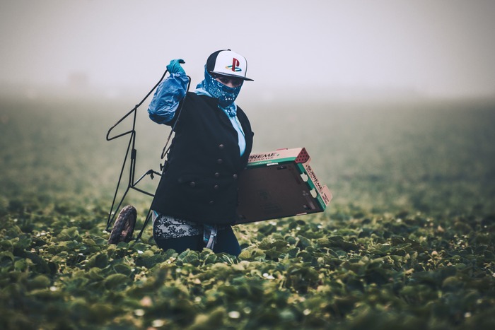 Trabajadora agrícola en un campo de California