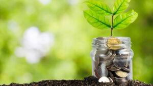 frasco con monedas y una planta