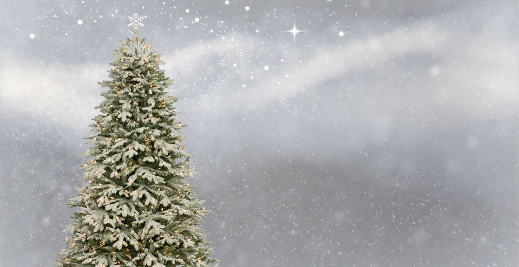 Cómo nevar un árbol de Navidad sin spray de nieve